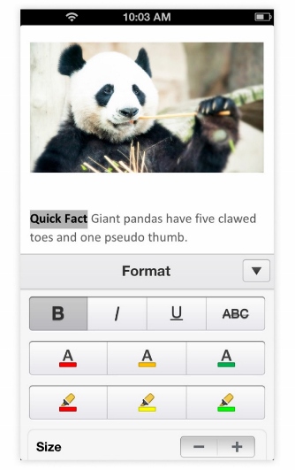 Editing text format in mobile view